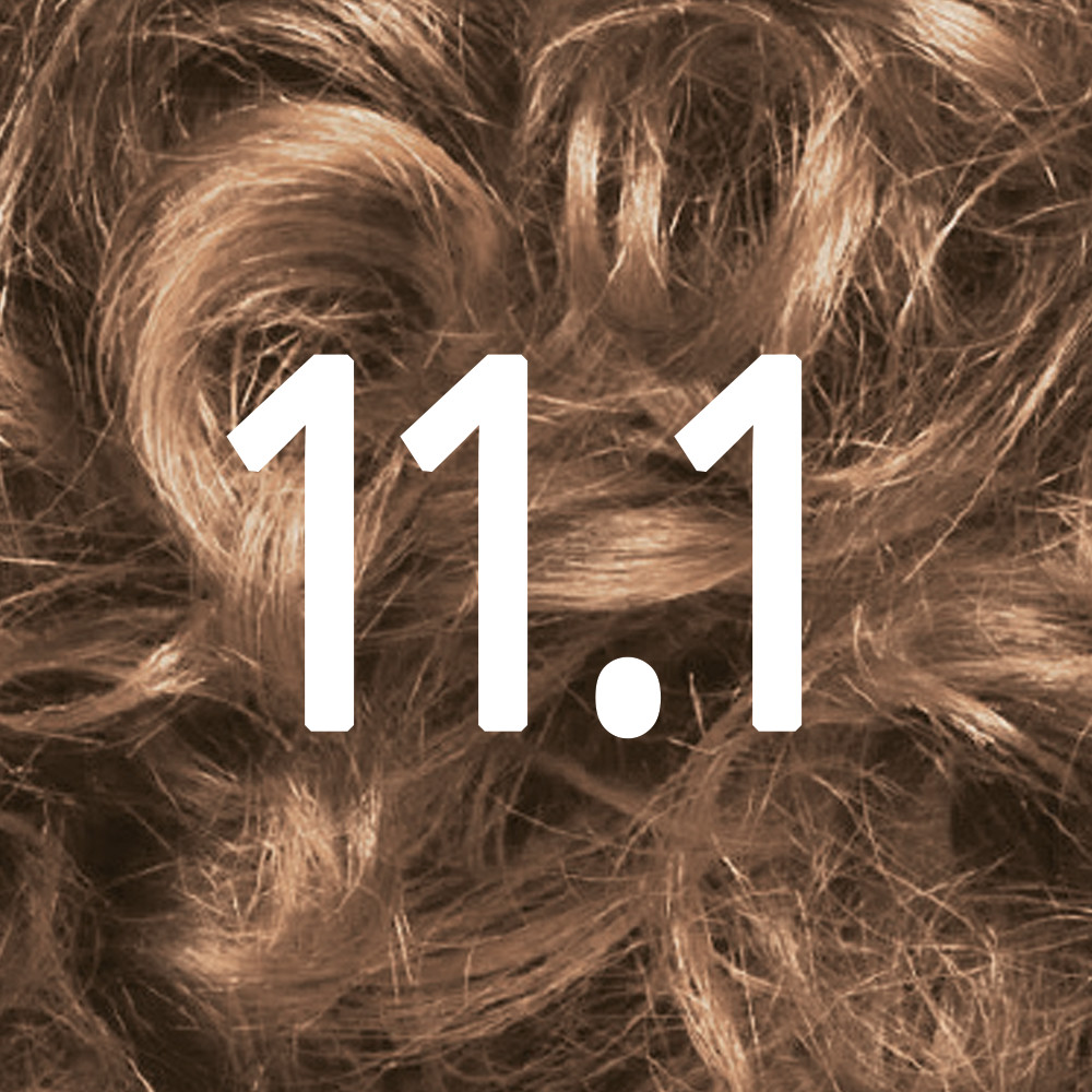 Almond Blonde 11.1