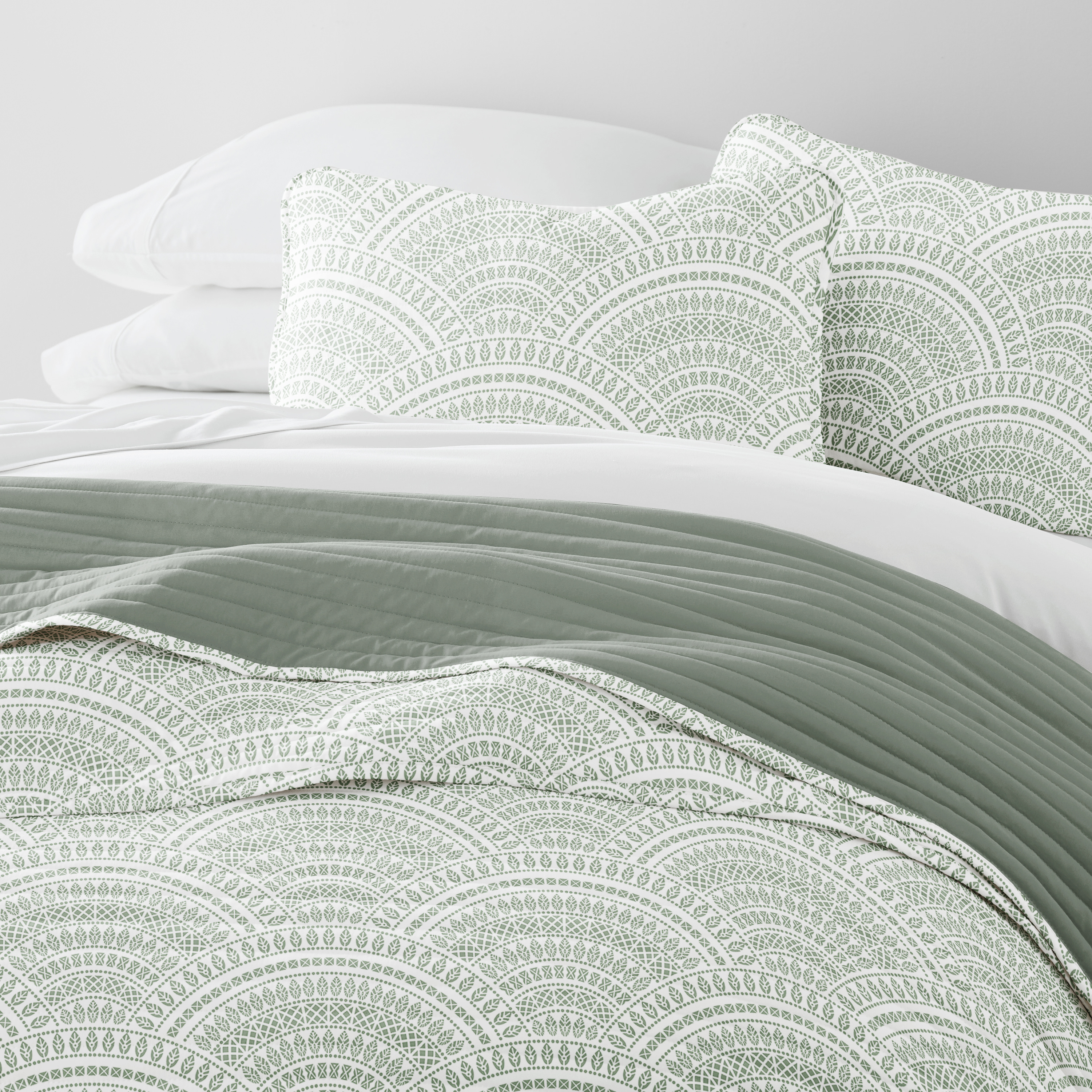 Scalloped Eucalyptus