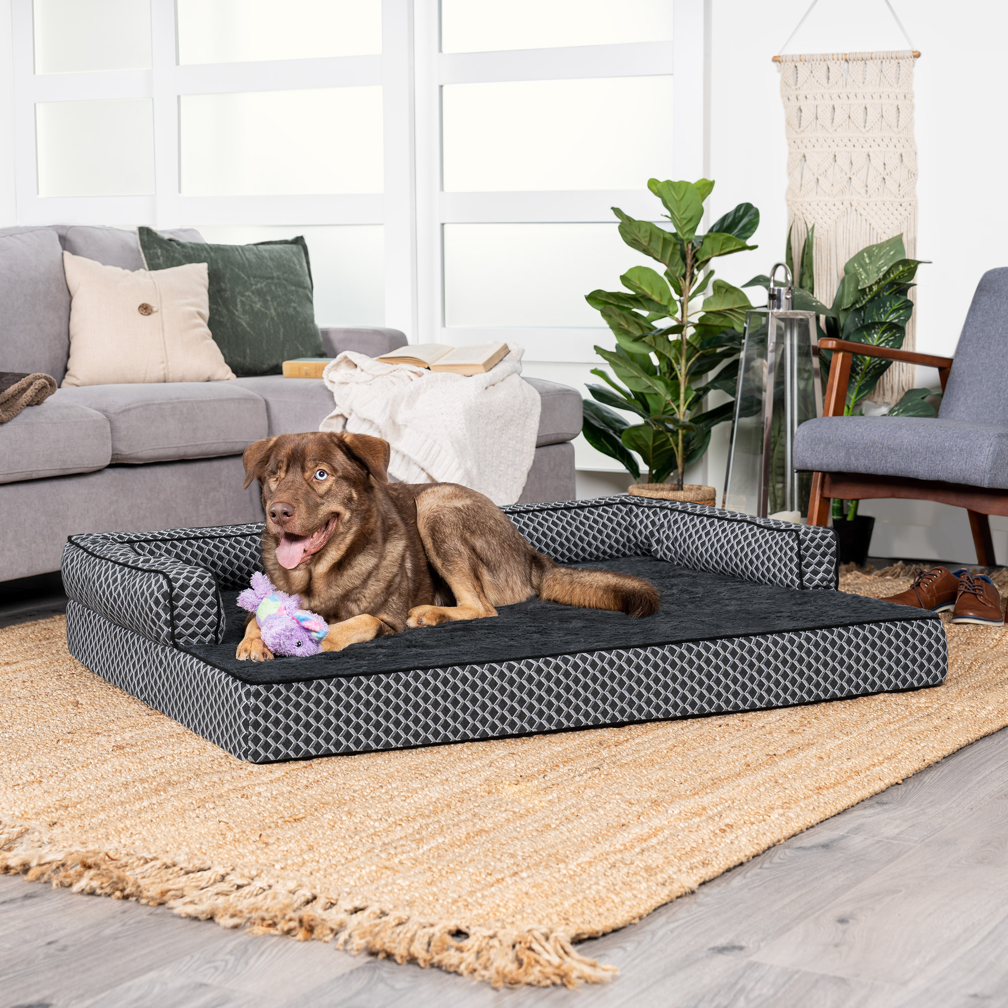 Comfy couch dog clearance bed