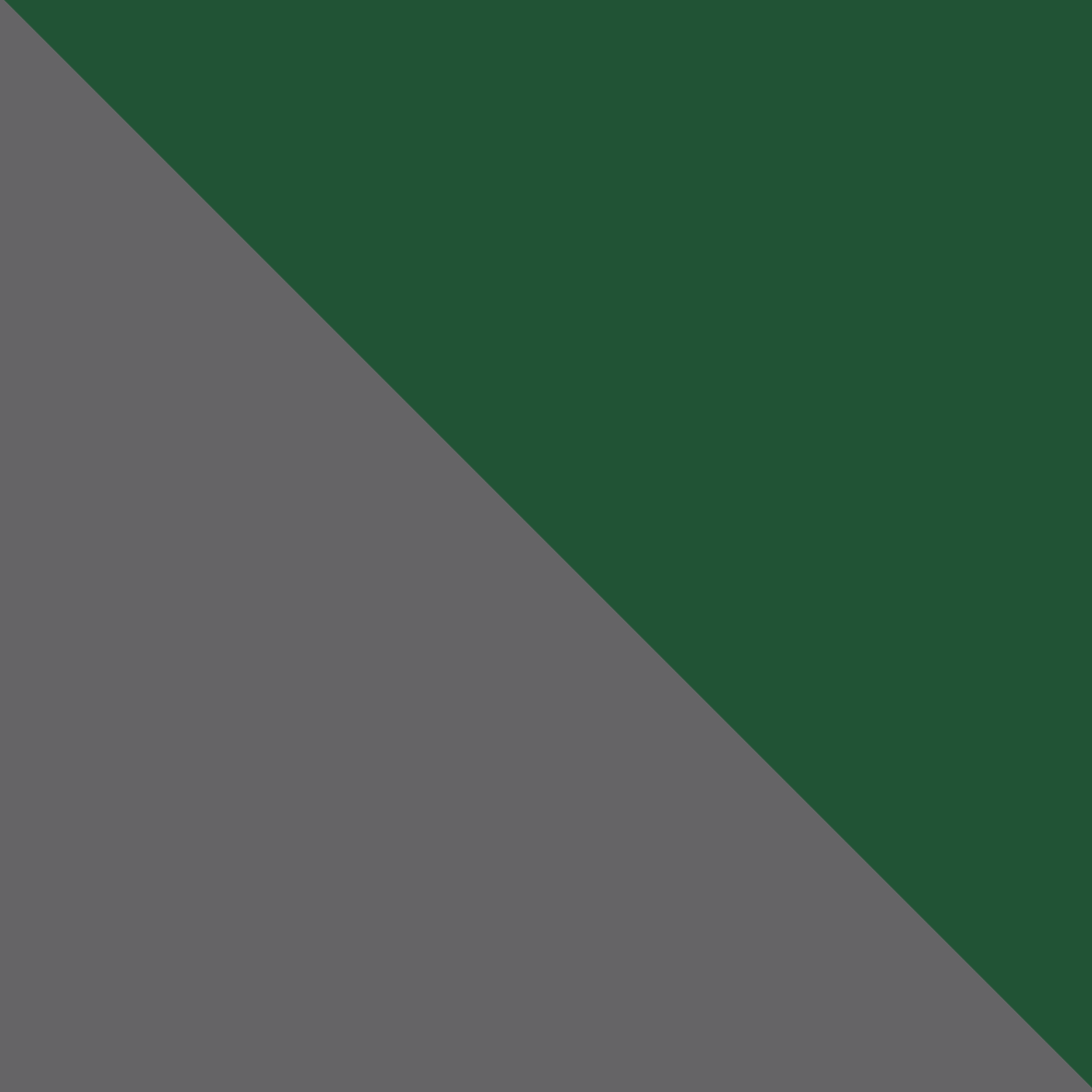 Grey/Forest Green