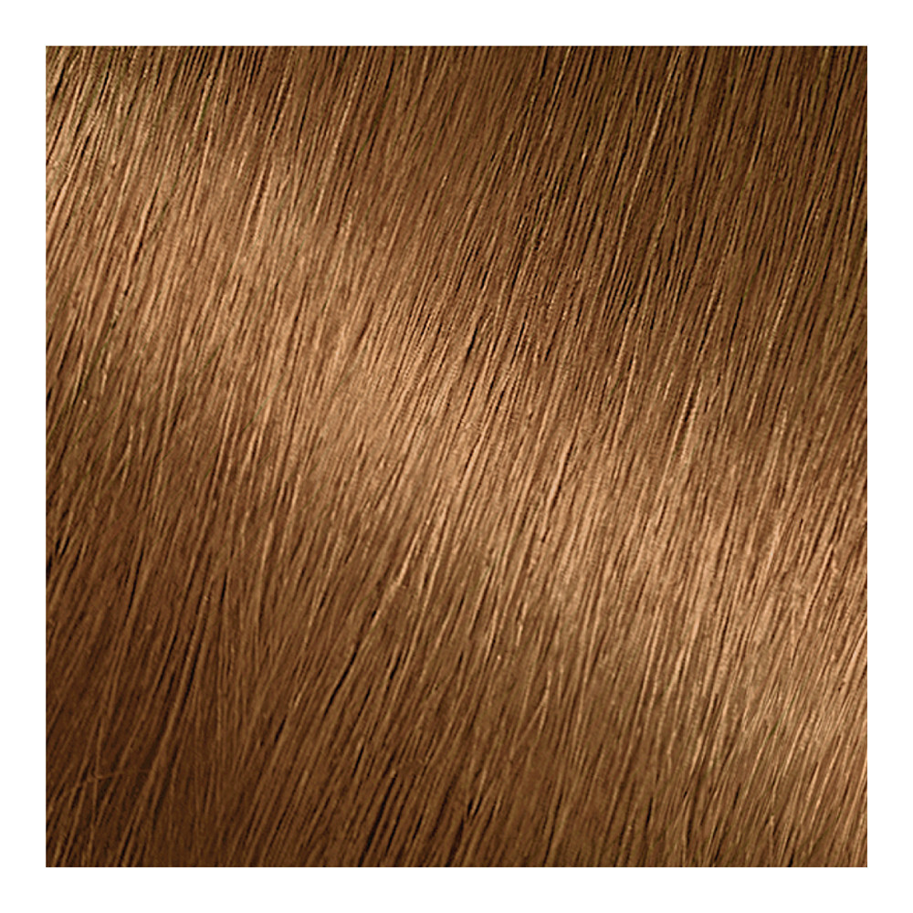 Garnier Nutrisse Ultra Coverage 630 Toffee Nut Permanent Hair Color