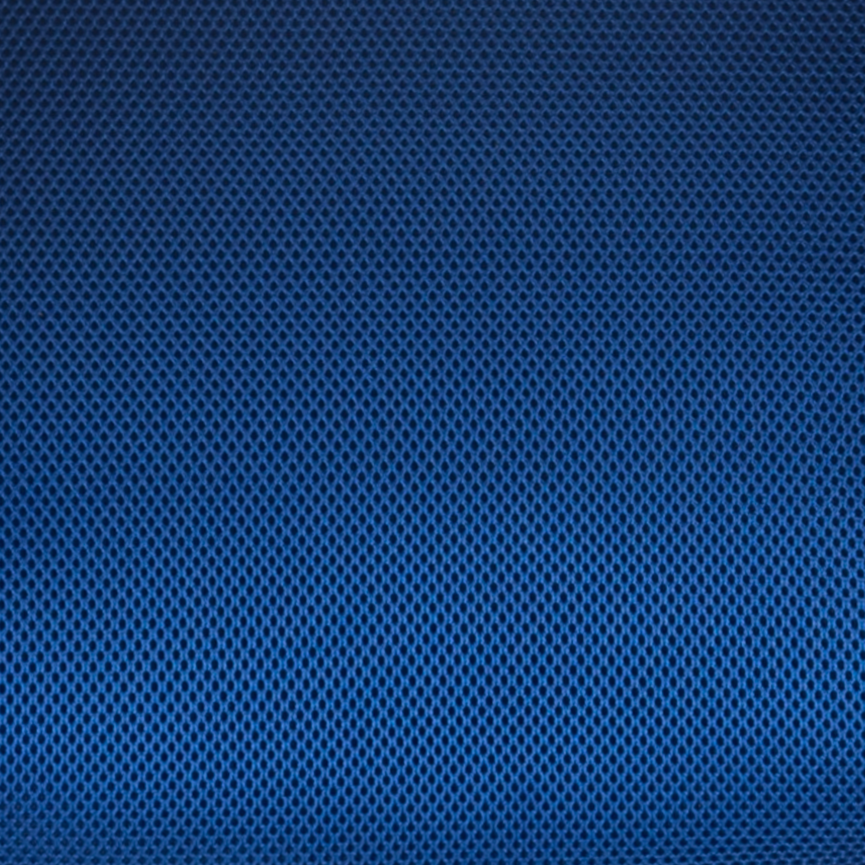 Blue Mesh/Black Frame