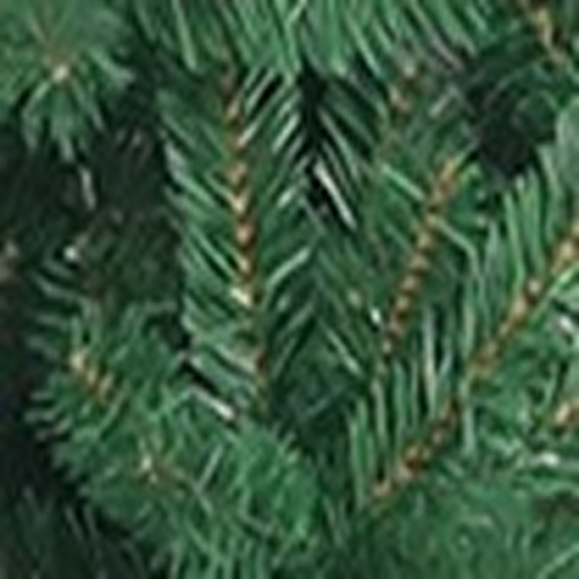 6ft Artificial Christmas Tree Full Natural Spruce PVC Fir Tree Foldable