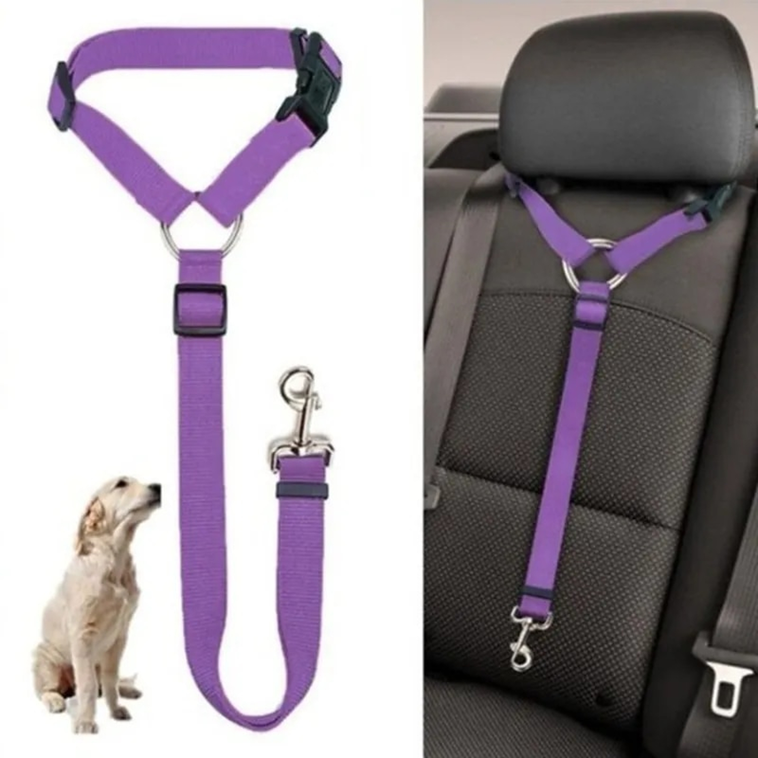 Pet carrier seat belt hotsell