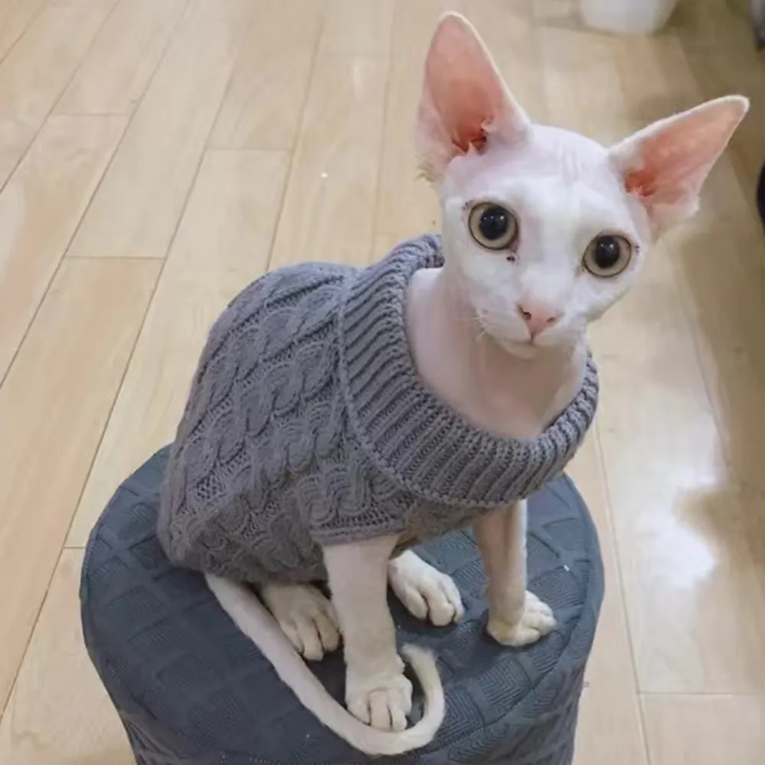 Warm Knitted Sphynx Cat Sweater Winter Pet Clothes for Cats Kitten Puppy Pullovers S Mariano s