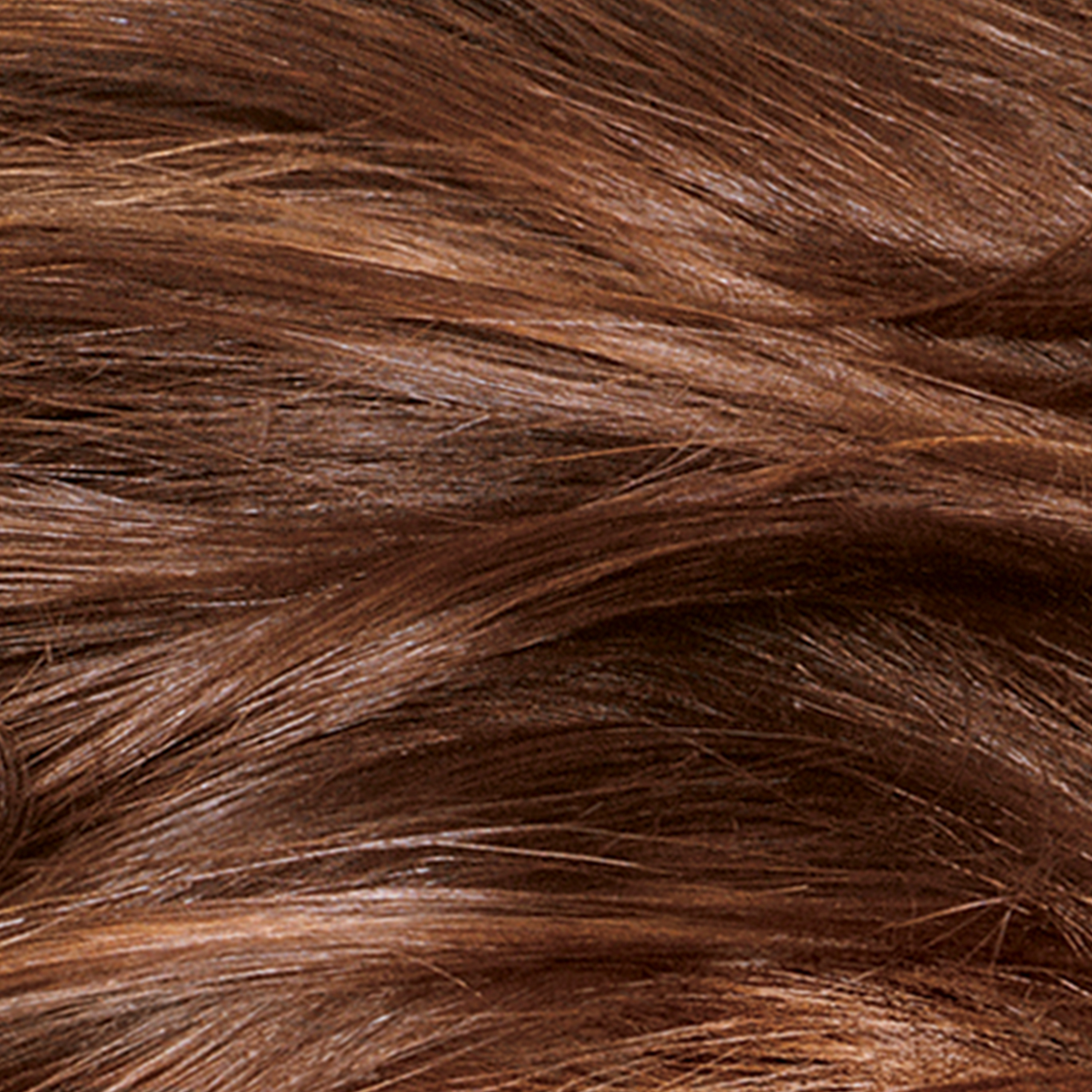 Medium Golden Chestnut Brown