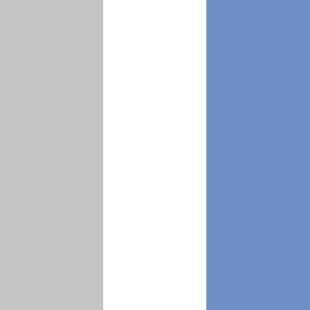 Grey/Blue