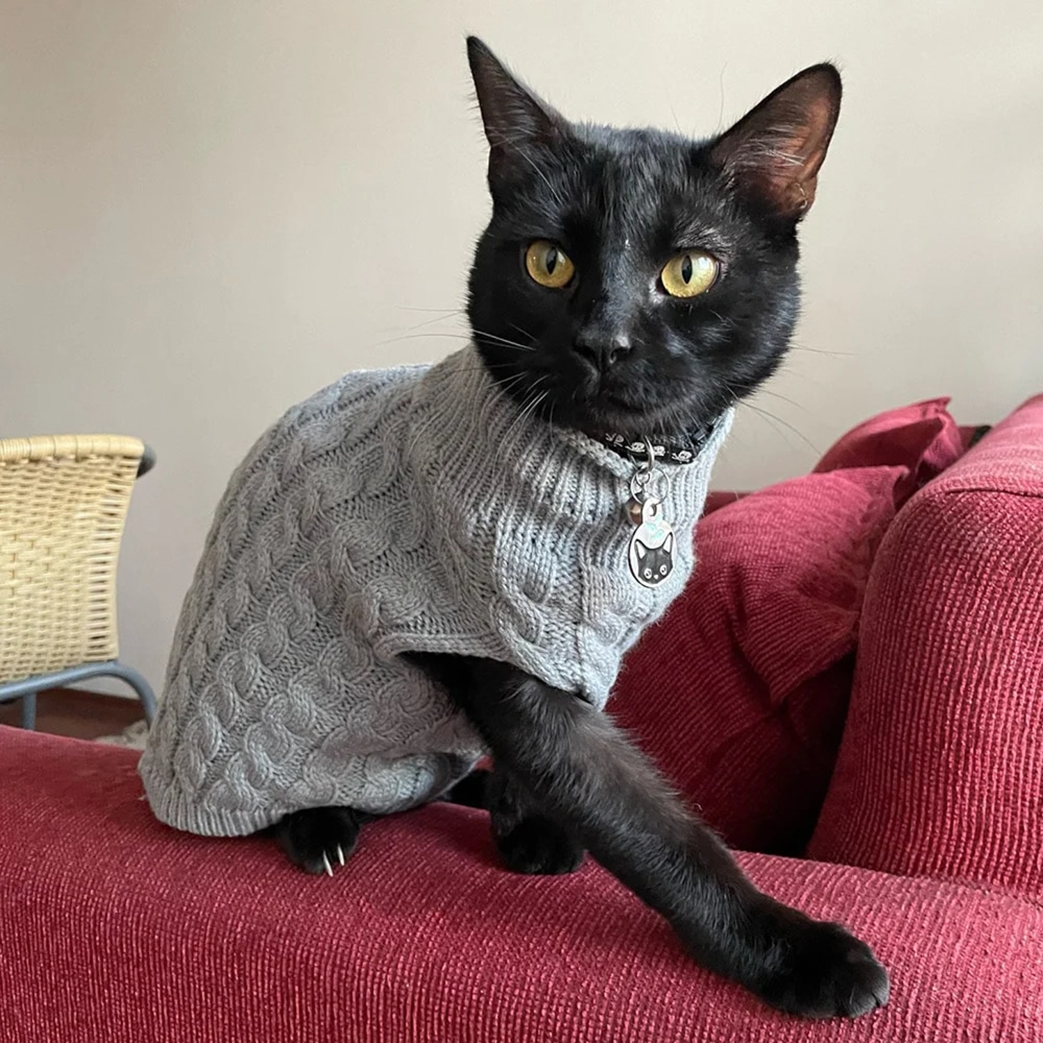 Cat knitted sweater hotsell