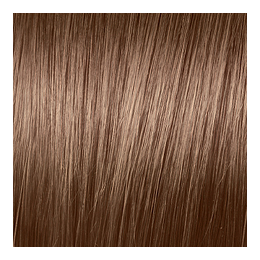 B61 Downtown Brown