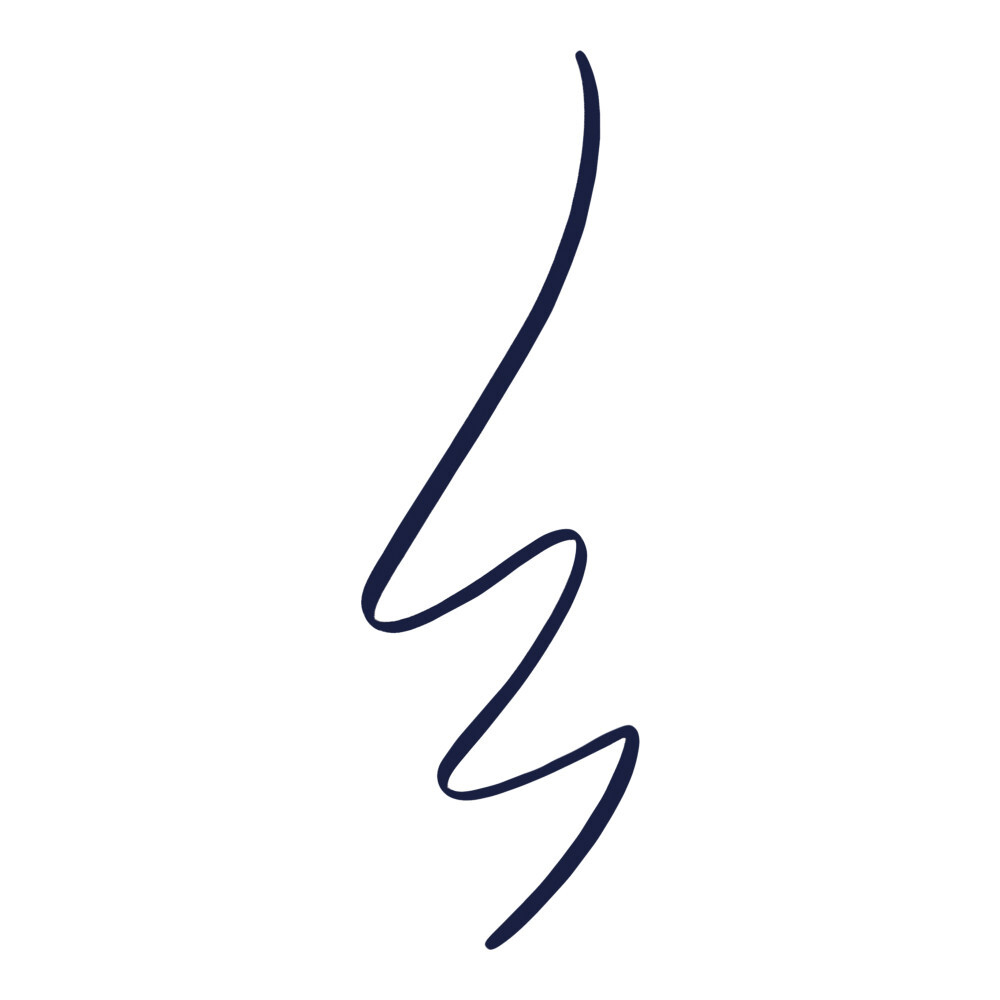 541 Navy