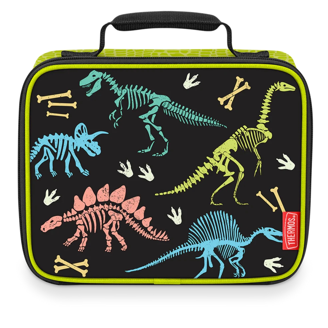 Glow in the Dark - Dinosaur