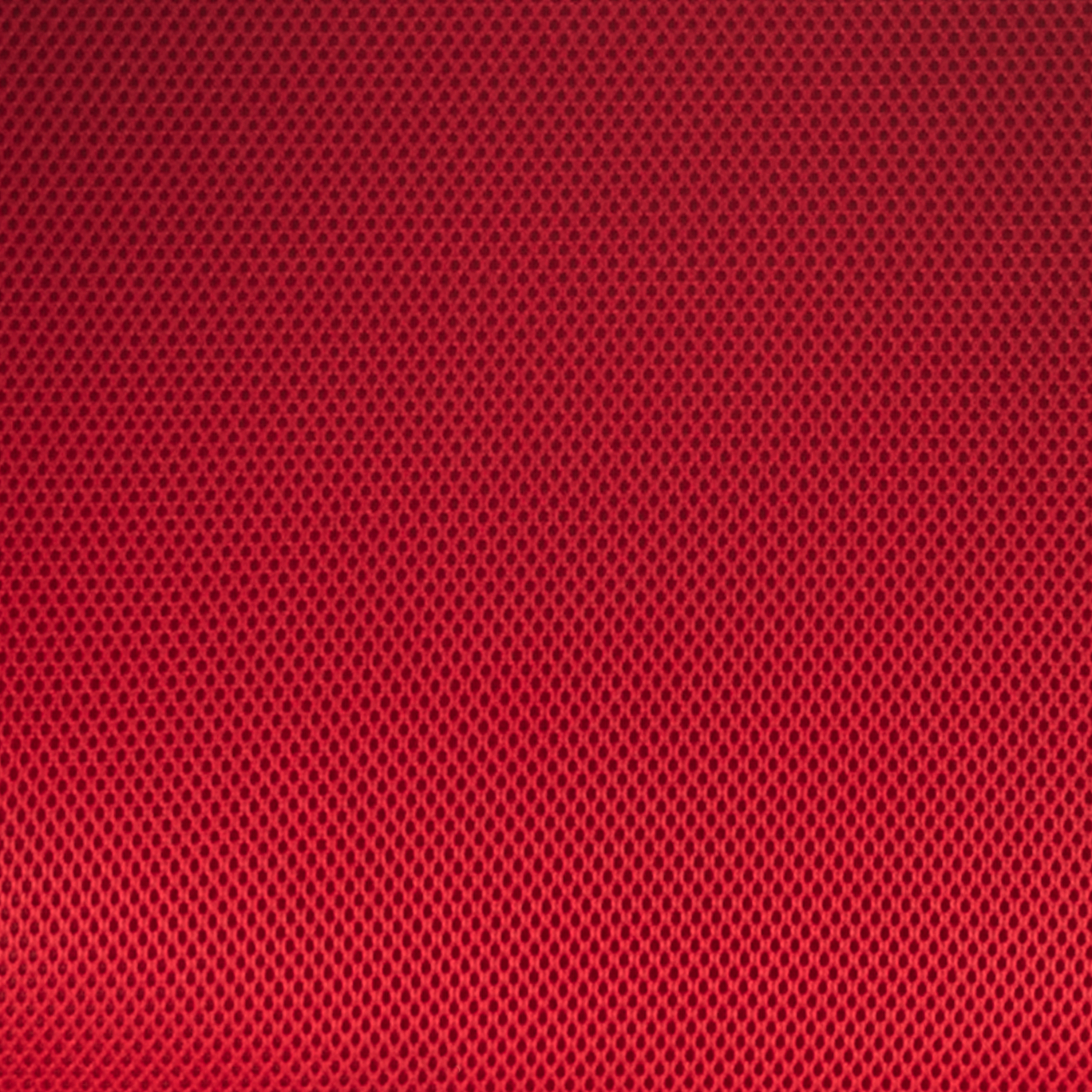 Red Mesh/Black Frame