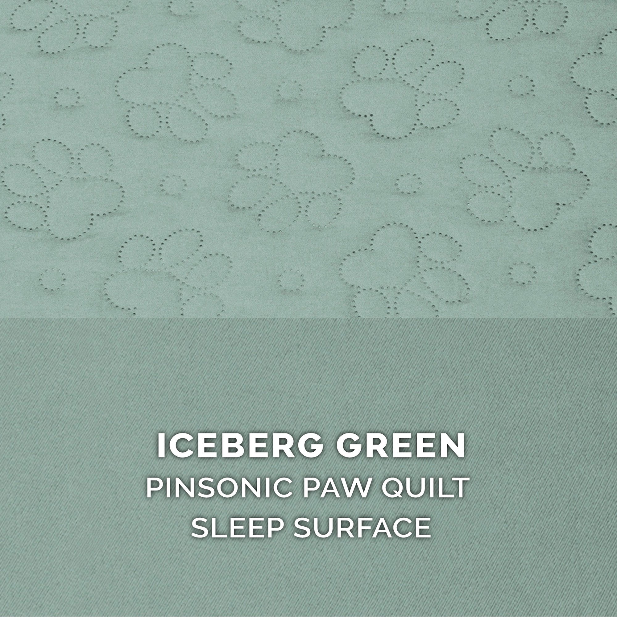 Iceberg Green