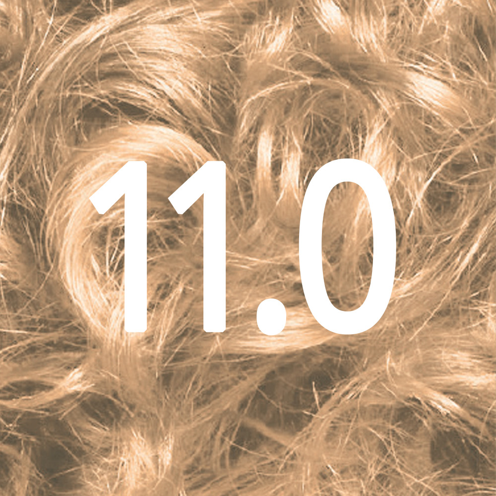Natural Blonde 11.0