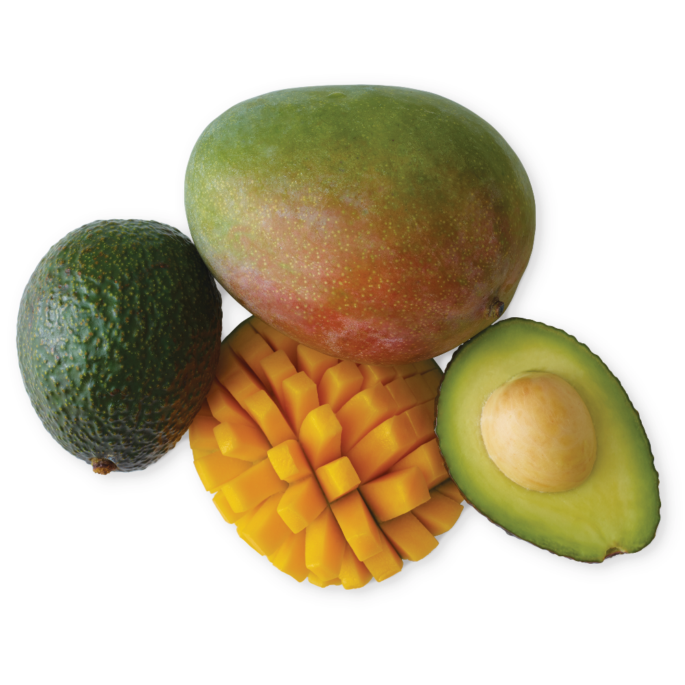 Large Avocados or Mangos